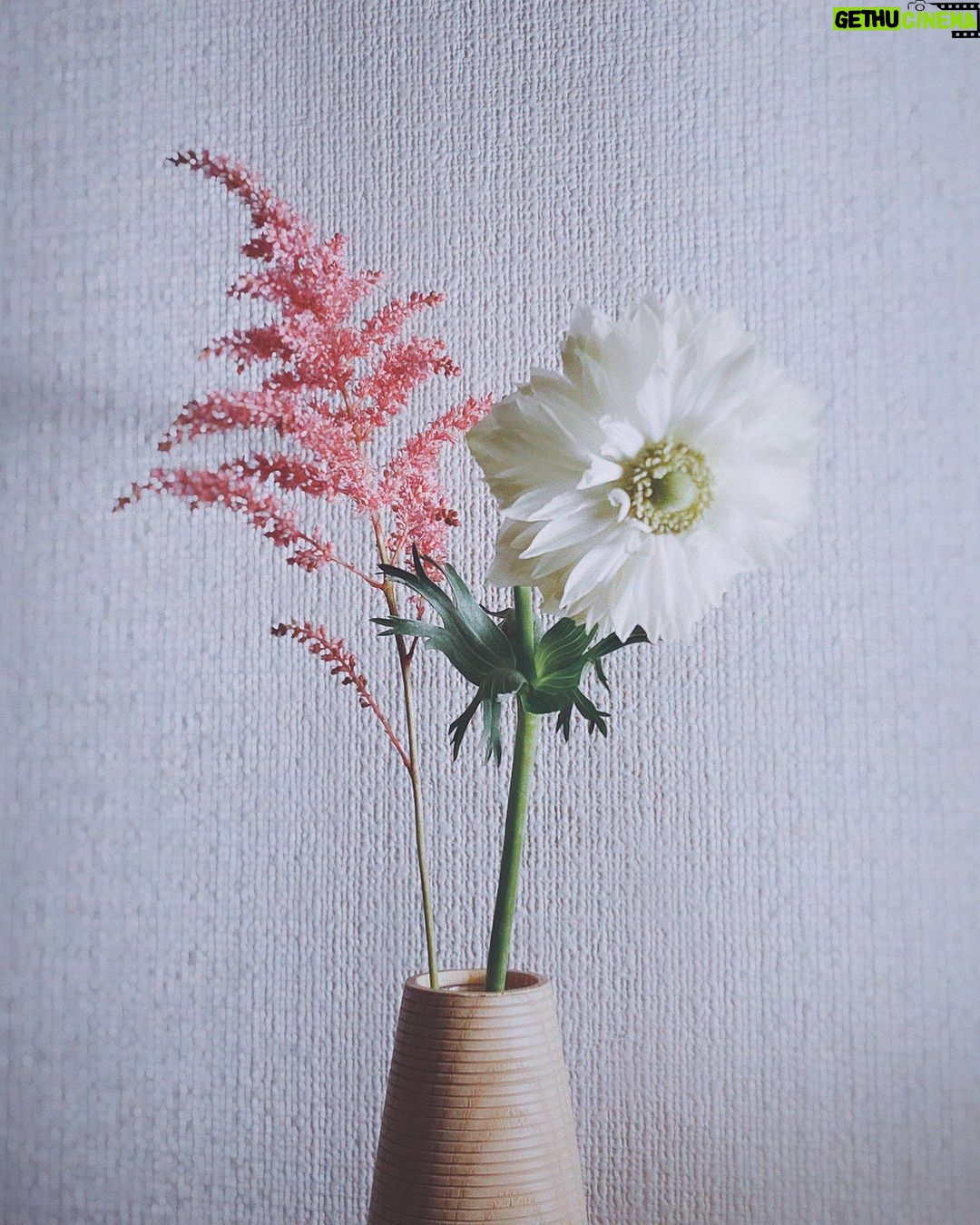Miyu Hayashida Instagram - . May all the people of the world live in peace. Have a nice weekend.❄️♡🪽