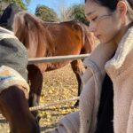 Miyu Hayashida Instagram - 🐴🤍🤍 乗ってる時の馬とのコミュニケーション、バランス、全て自分で感じていかないとうまくならないので楽しいです😊今日は風が強かったですが馬は風が強い方が集中しやすいみたいです。先生は速歩から駈歩にならないか、心配していましたが大丈夫でした😂また近いうちに美味しい🍎と🥕持って会いに行こう🐴。🐶も連れていきたいな。仲良くなれるかな😊 #Libertas #ridinghorse#deepimpact #thoroughbredhorse #馬の一生涯を見守る養老牧場にて #緑の馬牧場