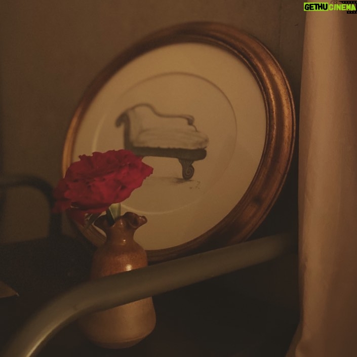 Miyu Hayashida Instagram - 命が短いからと15本300円で購入した薔薇。命が一夜だけだったとしても、値段以上の癒し。折れていた一輪は、小さい花瓶に。💕