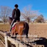 Miyu Hayashida Instagram - Horseback riding at the ranch looks after retired racehorses for the rest of their lives🌳🌷 9鞍目！自力での単独軽速歩にチャレンジしてみました🏇 Libeくん、今年もよろしくお願いします🐴🪽 #thoroughbred #deepimpact #引退馬の養老牧場にて