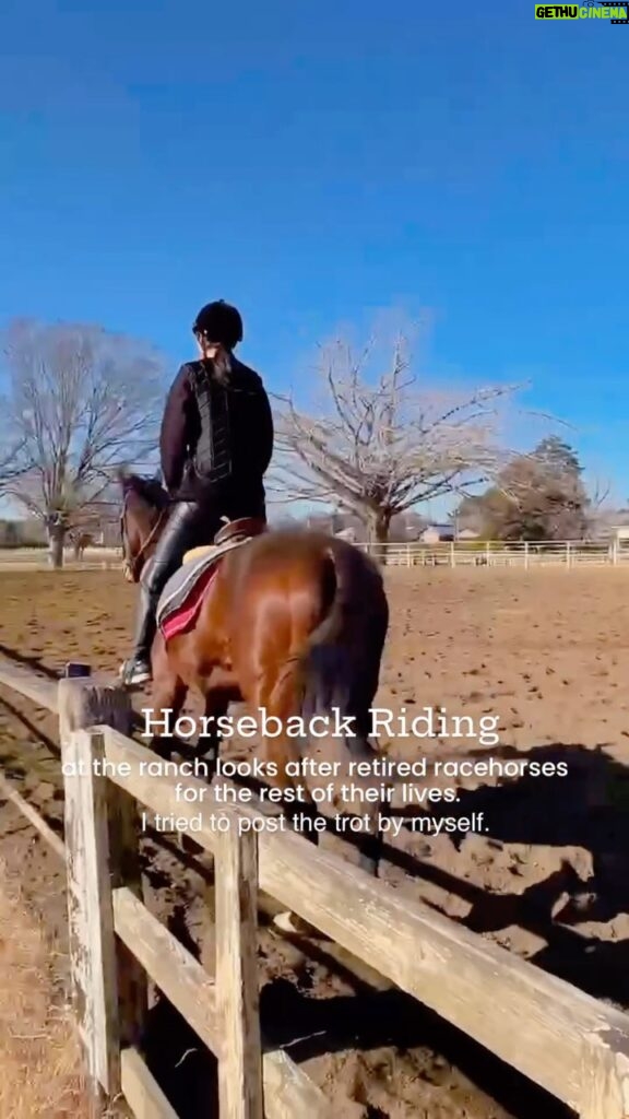Miyu Hayashida Instagram - Horseback riding at the ranch looks after retired racehorses for the rest of their lives🌳🌷 9鞍目！自力での単独軽速歩にチャレンジしてみました🏇 Libeくん、今年もよろしくお願いします🐴🪽 #thoroughbred #deepimpact #引退馬の養老牧場にて