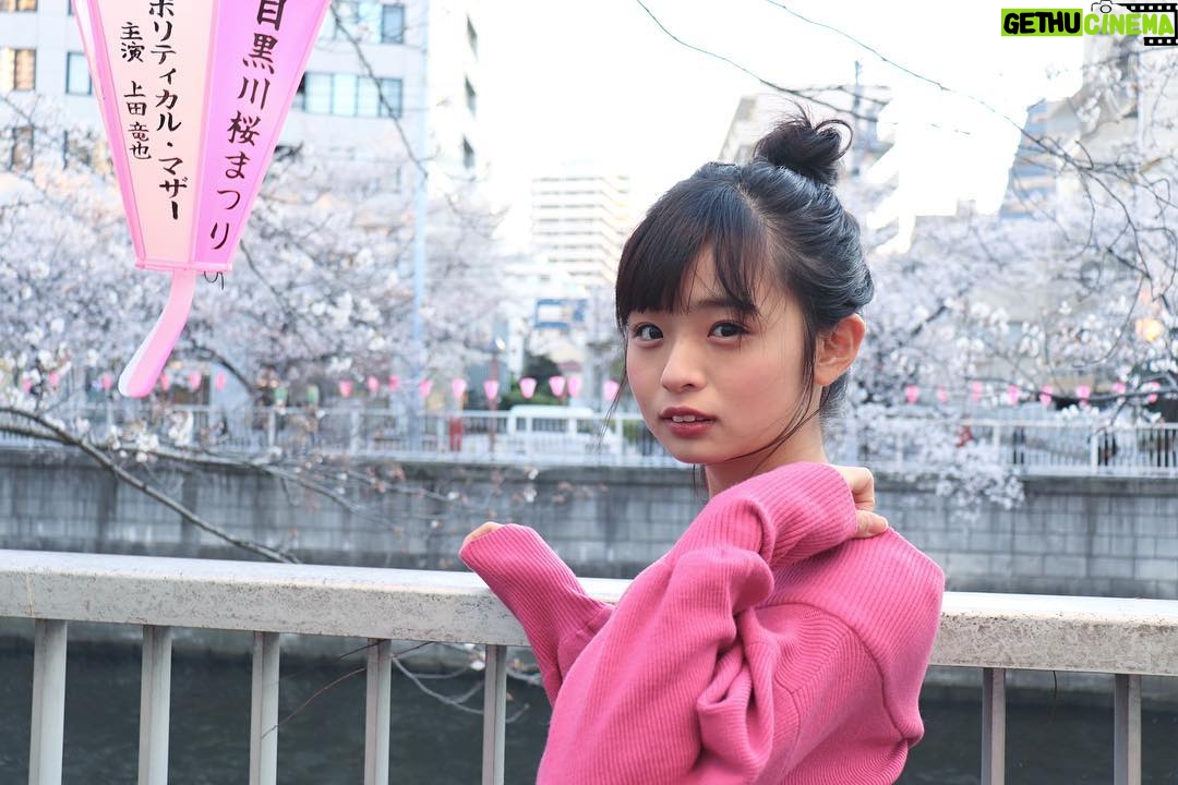 Mizuki Saiba Instagram - 桜🌸 #cherryblossom #sakura #桜 #spring #春 💤💤💤 #gravure #idol #アイドル #japanese #japanesegirl #girl #粉我 #小姐姐 #照片 #偶像 #パーソナルトレーニング #被写体 #followme #likeme #西葉瑞希 #さい歯 #グラビア #likeme #followme #写真好きな人と繋がりたい