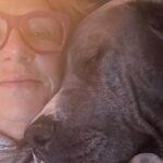 Mo Collins Instagram - Dog tired after today. ❤️ Walter and Beanie are such a comfort. ❤️#dogsofinstagram #pibble #daniff #tired #coveredindogs #pitbull #staffy #home