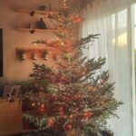 Mo Collins Instagram - Merry Christmas!!! May there be peace on Earth, and let it begin with our world leaders (as we keep it in our hearts and actions) ❤️☮️ #christmas2023