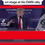 Mo Collins Instagram - WHATEVER this is… it can’t be President. No more crazy. If you’re still a follower, I beg you…come back to reality. Have a good Sunday. #cognitivedissonance #dictator #bidenharris2024