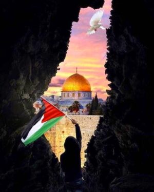 Mohamed Imam Instagram - #GhazaUnderAttack 🇵🇸💔 #غزة_تحت_القصف
