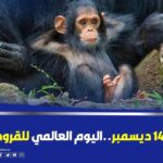 Mohamed Osama Instagram - كل سنه وانت طيب يا اخويا @hamdymarghany 😂😂😂❤️ تاج لصاحبك اللى عيد ميلاده مع الفنان حمدى المرغنى 😂👍 حديقه الحيوانات