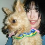 Momo Hirai Instagram - 우리 부도비🖤🐶🐕