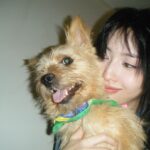 Momo Hirai Instagram - 우리 부도비🖤🐶🐕
