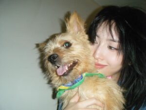 Momo Hirai Instagram - 우리 부도비🖤🐶🐕