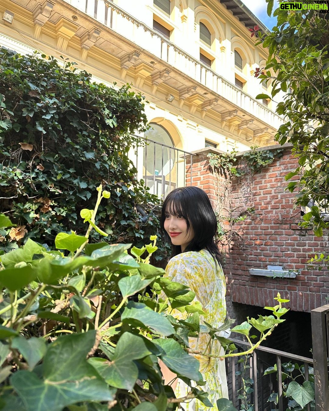 Momo Hirai Instagram - 많다고 했지..ㅋㅋㅋ 아직 있지만 그건 올릴지 고민해보께🐍🦖