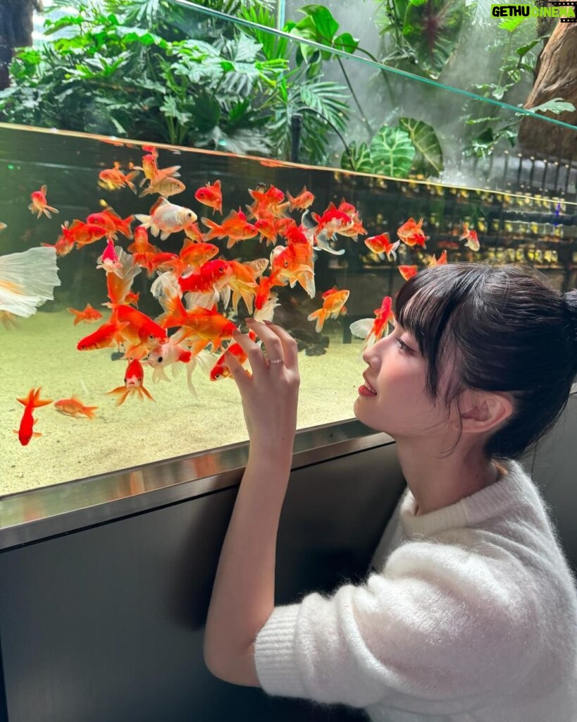 Momo Hirai Instagram - ONE SPARK🌝