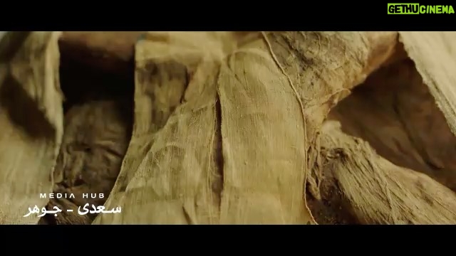 Mona Zaki Instagram - 3 أبريل2021 هيكون يوم مش عادي في تاريخنا، وأنا شخصيا كمصرية فخورة و سعيدة جدا ومنتظرة جدا اليوم ده عشان موكب نقل المومياوات الملكية لمتحف الحضارة المصرية..الحدث العالمي اللي هيكون محط اهتمام العالم كله اللحظة العظيمة دي وغيرها كتير بتخليني فخورة إن ده بيحصل في بلدي، وفخورة بحبنا لبلدنا وحضارتنا. #مصر_٢٠٢١ #٣_ابريل_٢٠٢١