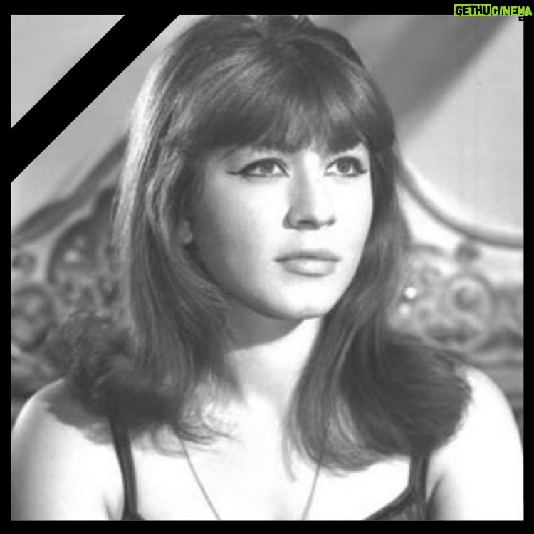Mona Zaki Instagram - Today we lost a beautiful soul, one of the most talented actresses in the Arab world..The sunshine of theatre ..you will always live in our hearts by your unforgettable work and unmatched talent.. thank you for always putting a smile on our faces. May your soul rest in peace اليوم فقدنا روح جميلة. واحدة من أكثر الفنانات موهبة في الوطن العربي .. إشراقة المسرح .. ستعيش دائمًا في قلوبنا بأعمالها التي لن تنسى .. نشكرك دائمًا على رسم البسمة على وجوهنا الله يرحمها ويجعل مثواها الجنة