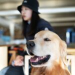 Moon Jeong-hee Instagram - #마누 #manu #머털이 #mfac #데이트 #카페 #새친구 #친해지고싶어 #오이샌드위치 #맛집 #명필름 오랜만에 반갑게 만난 심재명 대표님과 머털이! 마누는 놀고싶고 머털이는 동생인데도 점잖은 아이♡사랑스럽다~~~ 너무 반갑고 뵈어서 좋았어요 ♡ MFAC 너무 매력있는 공간이네요!!^^ 또놀러갈게요♡♡♡ @mfac.paju
