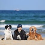 Moon Jeong-hee Instagram – #마누 #manu #jane #ruy #바닷가 #산책 #함께 #건강 #웃어요 #예쁜날씨 #맑은하늘 #파란색 

파란색하늘 
파란색바다
파란색웃음
지구에서 파란색은 행복의 색인것같아요

@justinkim1978 @chris_kim1979 
@manu_goldenretriever 
파란색 사진고마워요♡♡♡♡♡