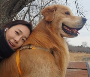 Moon Jeong-hee Instagram - #마누 #manu #겨울 #달리기 #running #mate #러닝 #골든리트리버 #6살 #체력관리 #튼튼한다리 #등근육

바른자세로 너무 빠르지 않게 
4키로 러닝♡
마누는 어릴때 부터 여러운동을해서 잘 뛰는편이지만,
체중과 근육을 잘 유지관리 하기위해 꾸준히 런닝을하고 있습니다. 

Tip: 같은속도와 리듬으로 싱글스텝하며 달려야
바른자세가 나와요♡
반려아이들과 함께 건강한 겨울 보내세요♡