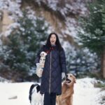 Moon Jeong-hee Instagram - #마누 #manu #ruy #jane #w홀스랜드 #트레킹 #설원 #신나는 #강아지들 #골든리트리버 #보더콜리 #몰티즈 눈쌓인 설원과 산에서 신나게 오프리쉬로 트레킹했던 하루!!!! 많이 뛰고 걷고 잼났어요♡ *이용시 안내에따라 오프리쉬 할수 있는곳입니다! @manu_goldenretriever 늘멋진사진 고마워요 😄💗 @justinkim1978@chris_kim1979 루이형아랑 제인이 표정은 최고 👍 @w_horseland_ 갈때마다 신나고 행복한 시간입니다. 소중한 장소예요♡ @bak.marrtin 마틴이네 덕분에 우리가 신나게 놀았네요. 담엔 보리마틴이랑 같이가요♡♡♡