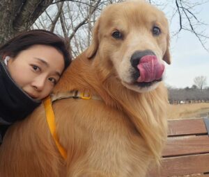Moon Jeong-hee Instagram - #마누 #manu #겨울 #달리기 #running #mate #러닝 #골든리트리버 #6살 #체력관리 #튼튼한다리 #등근육

바른자세로 너무 빠르지 않게 
4키로 러닝♡
마누는 어릴때 부터 여러운동을해서 잘 뛰는편이지만,
체중과 근육을 잘 유지관리 하기위해 꾸준히 런닝을하고 있습니다. 

Tip: 같은속도와 리듬으로 싱글스텝하며 달려야
바른자세가 나와요♡
반려아이들과 함께 건강한 겨울 보내세요♡