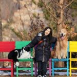 Moon Jeong-hee Instagram - #마누 #manu #ruy #jane #w홀스랜드 #트레킹 #설원 #신나는 #강아지들 #골든리트리버 #보더콜리 #몰티즈 눈쌓인 설원과 산에서 신나게 오프리쉬로 트레킹했던 하루!!!! 많이 뛰고 걷고 잼났어요♡ *이용시 안내에따라 오프리쉬 할수 있는곳입니다! @manu_goldenretriever 늘멋진사진 고마워요 😄💗 @justinkim1978@chris_kim1979 루이형아랑 제인이 표정은 최고 👍 @w_horseland_ 갈때마다 신나고 행복한 시간입니다. 소중한 장소예요♡ @bak.marrtin 마틴이네 덕분에 우리가 신나게 놀았네요. 담엔 보리마틴이랑 같이가요♡♡♡