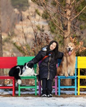 Moon Jeong-hee Instagram - #마누 #manu #ruy #jane #w홀스랜드 #트레킹 #설원 #신나는 #강아지들 #골든리트리버 #보더콜리 #몰티즈

눈쌓인 설원과 산에서 신나게 오프리쉬로 
트레킹했던 하루!!!! 
많이 뛰고 걷고 잼났어요♡

*이용시 안내에따라 오프리쉬 할수 있는곳입니다! 
@manu_goldenretriever
늘멋진사진 고마워요 😄💗
@justinkim1978@chris_kim1979
루이형아랑 제인이 표정은 최고 👍 

@w_horseland_
갈때마다 신나고 행복한 시간입니다.
소중한 장소예요♡

@bak.marrtin
마틴이네 덕분에 우리가 신나게 놀았네요.
담엔 보리마틴이랑 같이가요♡♡♡