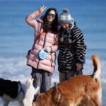 Moon Jeong-hee Instagram – #마누 #manu #christmas #friends #holy #holiday #jane #ruy #peace #dogs 

친구들과 함께하는 귀한 성탄절 입니다!
아이들 때문에 우당탕당 정신없지만, 
가만히 이시간들이 지나갑니다…
예수님이 주신 귀한 선물들을 잘 누리겠습니다.
참으로 감사합니다…

모두 메리크리스마스 
Merry Christmas all of you ♡♡♡

@manu_goldenretriever 
@joli_talon @foto.camper
@justinkim1978 
@chris_kim1979 
@russell_jowoo
