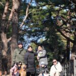 Moon Jeong-hee Instagram – #마누 #manu #christmas #friends #holy #holiday #jane #ruy #peace #dogs 

친구들과 함께하는 귀한 성탄절 입니다!
아이들 때문에 우당탕당 정신없지만, 
가만히 이시간들이 지나갑니다…
예수님이 주신 귀한 선물들을 잘 누리겠습니다.
참으로 감사합니다…

모두 메리크리스마스 
Merry Christmas all of you ♡♡♡

@manu_goldenretriever 
@joli_talon @foto.camper
@justinkim1978 
@chris_kim1979 
@russell_jowoo