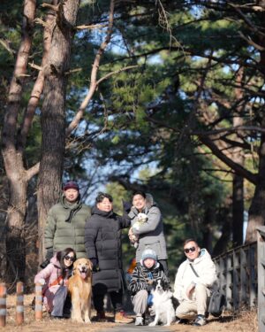 Moon Jeong-hee Instagram - #마누 #manu #christmas #friends #holy #holiday #jane #ruy #peace #dogs 

친구들과 함께하는 귀한 성탄절 입니다!
아이들 때문에 우당탕당 정신없지만, 
가만히 이시간들이 지나갑니다...
예수님이 주신 귀한 선물들을 잘 누리겠습니다.
참으로 감사합니다...

모두 메리크리스마스 
Merry Christmas all of you ♡♡♡

@manu_goldenretriever 
@joli_talon @foto.camper
@justinkim1978 
@chris_kim1979 
@russell_jowoo