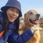 Moon Jeong-hee Instagram - #마누 #manu #일상 #산책 #공원 #데이트 #오래걷기 #콧구멍 #뻥뚤림 #추운바람 #추운날씨 #겨울 #좋아요 #미소천사 걷다보니 땀도 나고 심지어 시원하게 느껴지는 날씨! 오랜만에 오래걷고 신나게 산책했다 그치? 오늘밤엔 꿀잠 😴 예약요!♡