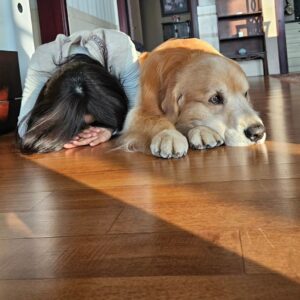 Moon Jeong-hee Instagram - #마누 #manu #2024 #1stday #새해 #새배 #복많이받으세요 #부모님께 #인사

새배 하랬더니.....
옆에서 모냐..ㅡㄴㅡ

2024년 행복하시고 건강하세요!