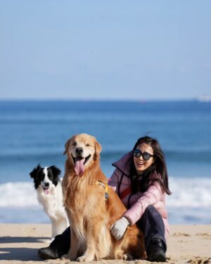 Moon Jeong-hee Instagram - #마누 #manu #christmas #friends #holy #holiday #jane #ruy #peace #dogs 

친구들과 함께하는 귀한 성탄절 입니다!
아이들 때문에 우당탕당 정신없지만, 
가만히 이시간들이 지나갑니다...
예수님이 주신 귀한 선물들을 잘 누리겠습니다.
참으로 감사합니다...

모두 메리크리스마스 
Merry Christmas all of you ♡♡♡

@manu_goldenretriever 
@joli_talon @foto.camper
@justinkim1978 
@chris_kim1979 
@russell_jowoo