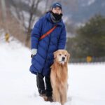Moon Jeong-hee Instagram - #마누 #manu #겨울왕국 #눈꽃 #눈천지 #누가 #신났다 #강아지들 #산책 #트레킹 덕선이네 따라서 갔던 멋진 코스♡ 설원과 눈꽃으로 마음까지 시원해졌어요 👏 👏 더 건강해진 덕선이 최고 👍 모험가 달콤이 또만나~ @uhhh_dseon 감사합니다♡ @manu_goldenretriever Photos by ❤️