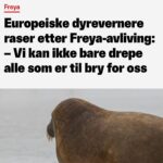 Morten Ramm Instagram - Norge, høsten, 2022