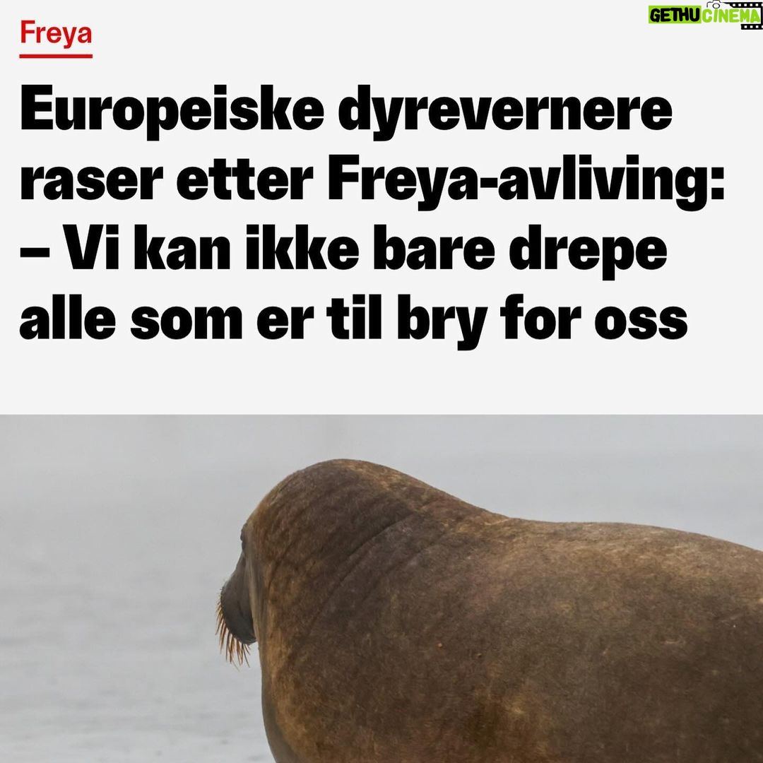 Morten Ramm Instagram - Norge, høsten, 2022