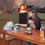 Mouni Roy Instagram - Nothing lights up my pet’s mood like his favourite Drools Daily Nutrition ❤️🐾 Made with the goodness of 100% Real Chicken & Eggs, it’s a meal time delight that I completely approve of 😍 ✅ Drools- Feed Real Feed Clean #pets #dogs #petparents #droolsindia