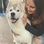 Mridanjli Rawal Instagram - I want a 🐶🐈🐈‍⬛🐎….. What about you guys ??🧑‍🎄🎅 Ho….ho……hoooo… : #instagram #reels #love #dogsofinstagram #doginfluencer #reels #reelsinstagram #travel #bangkok #thailand #thai #reelindia❤️❤️ #reelviral #instamood #friday #weekend #husky #photography #videography #instacool #instafollow #influencer Husky Cafe, Bangkok
