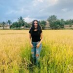 Mridanjli Rawal Instagram - धान के खेत में| 😛 : : : : #igers #igersdaily #india #igersdaily #green #instagood #instagram #instadaily #insta #instafashion #instapic #instagood #wednesdaywisdom #instagramers #instago #instahappy #solotravel #happy #girl #tuesday #karnataka #mountains #nature #village #instagramhub #instalove #love #travelblogger #wednesday Hampi, Karnataka
