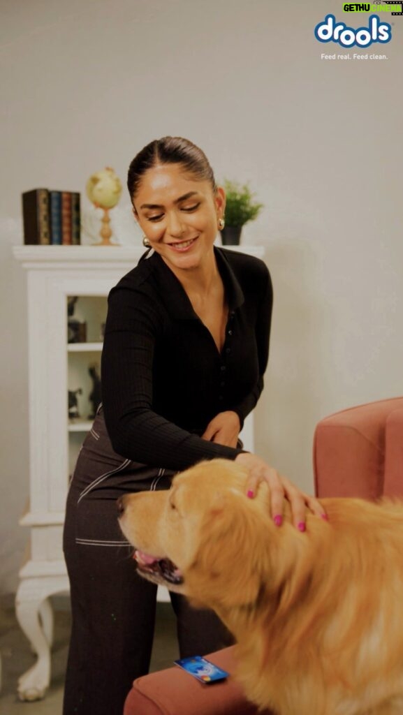 Mrunal Thakur Instagram - Just like Aaryan can’t resist drools. I can’t resist those puppy dog eyes 🫠 I can’t stay mad at him when all he does is drools over @Droolsindia (made with 100% chicken and 0 by-products) PS - How to say no to that cute face? (I’m genuinely asking 🤷🏻‍♀)