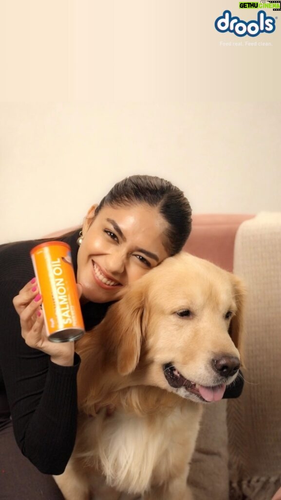 Mrunal Thakur Instagram - Give your doggo a woof’ing boost with @Droolsindia’s Salmon Oil supplement! Because a happy doggo is a healthy doggo. 🐾❤️🥰 #droolsindia #pets #health #petcare #supplement