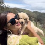 Mrunal Thakur Instagram - Love you all the way to pluto and back 💖 #bestcoactorever #babypluto #puppy #theraputic #cutepromax