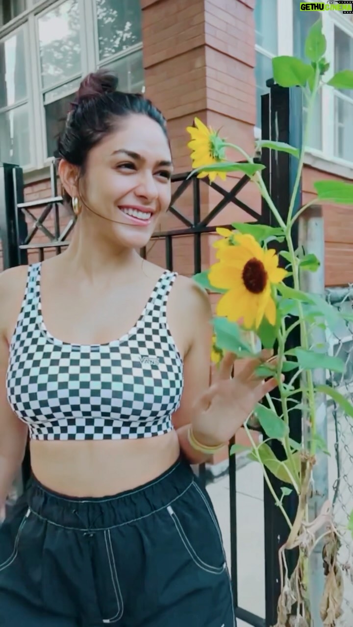 Mrunal Thakur Instagram - Postcards 2023 ✨🦋🌻