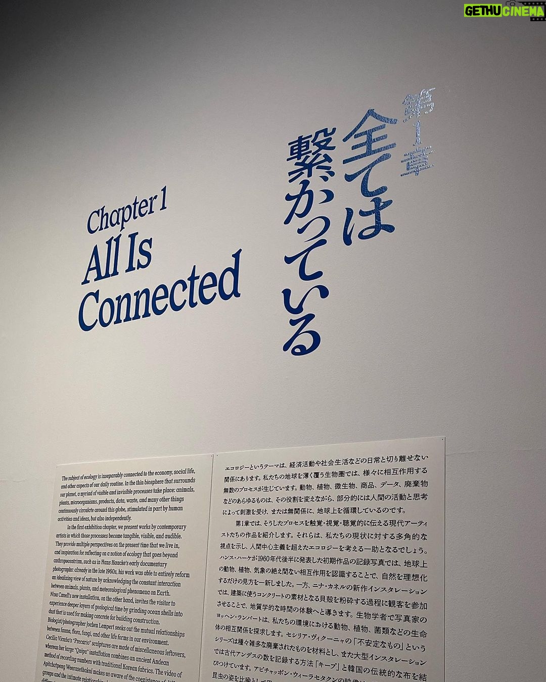 Mugi Ienaga - 3.8K Likes - 六本木 森美術館で会期中の森美術館開館20周年記念展「私たちのエコロジー:地球という惑星を生きるために」に行ってきました🌏「環境危機に現代アートはどう向き合うのか?」がテーマでした
動画はニナ・カネルの『マッスル・メモリー(5 トン)』というインスタレーション。ぜひ音あり見てください、帆立貝などの海生軟体動物の殻が踏まれて割れる音が綺麗です。さくさくぱりぱり鳴っていました。展示室が静かなので、かすかな音まで耳に入ってきます。いままでたくさん美術展を観てきたけれど、自分がここまで作品に関わることのできたのはこれがはじめて!楽しかった〜
このほかにも沢山おもしろい作品がありました!ぜひ行ってみてください〜
#森美術館 #美術館巡り #美術館好きな人と繋がりたい