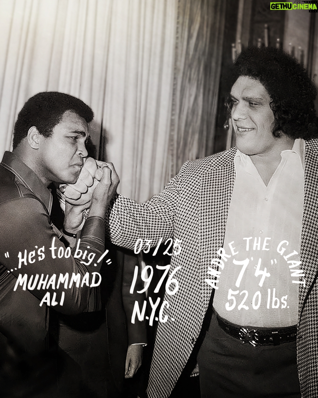 Muhammad Ali Instagram - "He’s too big! You can’t fight a guy like that. No way. He’s too big.” – Muhammad Ali, upon meeting Andre the Giant. March 25, 1976. New York City. That was the day that the “Greatest” of all time, Muhammad Ali, met the Eighth Wonder of the World, Andre the Giant. As the greatest improvisational maestro the fight game has ever known, Ali compared hand sizes with Andre and dropped his jaw. With Andre the Giant standing 7-foot-4 and weighing 520 pounds, all Ali could say was “he’s too big!” Throwing back to that special encounter between two of the world’s most beloved icons with this new @rootsoffight drop. Link in story! #MuhammadAli #RootsofFight #KnowYourRoots