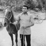 Muhammad Ali Instagram – “When a man says I cannot, he has made a suggestion to himself. He has weakened his power of accomplishing that which otherwise would have been accomplished.”⁣
⁣
 ⁣
⁣
#MuhammadAli #Icon #Quote #Boxing #GOAT