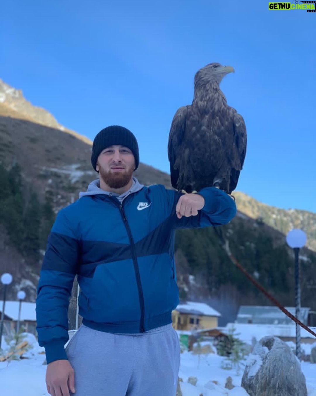 Mukhamed Berkhamov - 2.5K Likes - 🦅