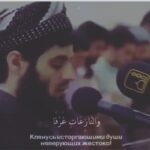 Mukhamed Berkhamov Instagram - ......... Makhachkala