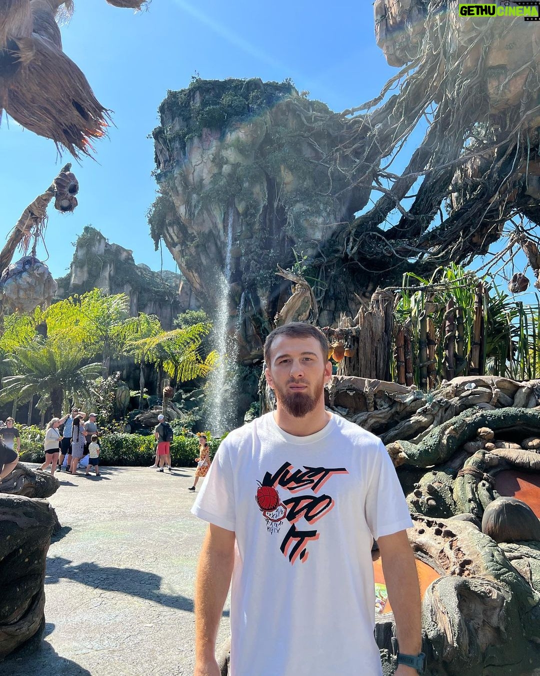 Mukhamed Berkhamov Instagram - Avatar Pandora the World of Avatar Disney's Animal Kingdom