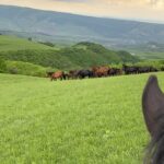 Mukhamed Berkhamov Instagram - Косяк наших братьев Черкесов...МашаАллах ТабаракаЛлах Karachay-Cherkessia