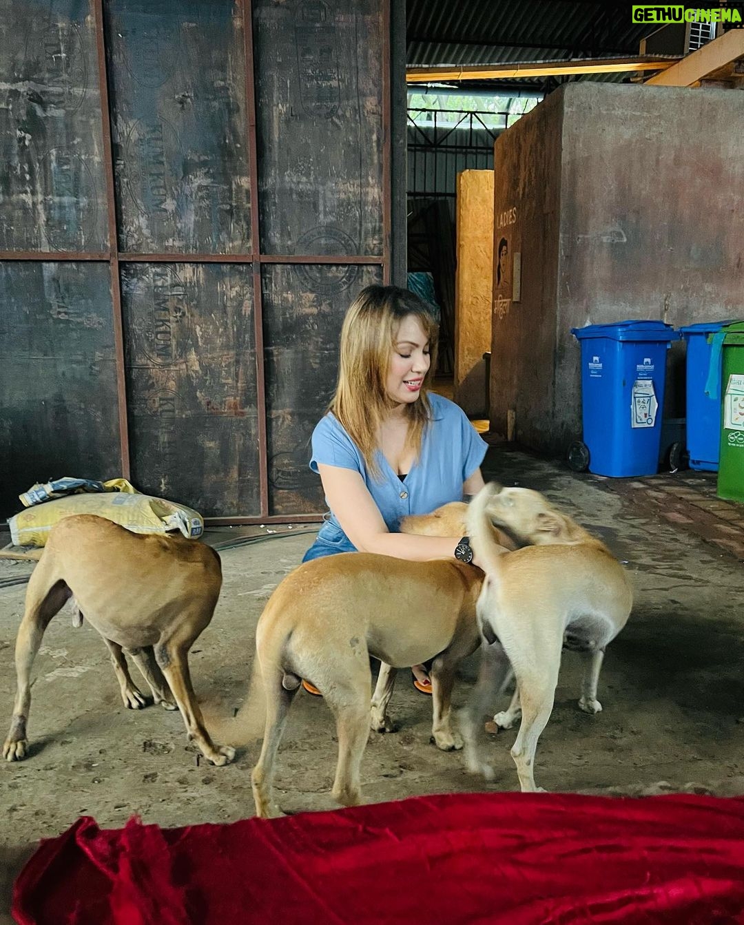 Munmun Dutta Instagram - Some āDā company for myself in between takes š„ š š¤ š¶ š . . . #munmundutta #picturesoftheday #behindthescenes #tmkoc #onsetlife #doglove #puppygram #inbetweentakes #inbetweenshots Dadasaheb Phalke Chitranagari FILMCITY Goregaon East Mumbai