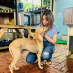 Munmun Dutta Instagram - Some ‘D’ company for myself in between takes 🎥 😍 🤗 🐶 🐕 . . . #munmundutta #picturesoftheday #behindthescenes #tmkoc #onsetlife #doglove #puppygram #inbetweentakes #inbetweenshots Dadasaheb Phalke Chitranagari FILMCITY Goregaon East Mumbai